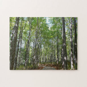 Quebra-cabeça Centennial Wooded Path II Ellicott City Maryland