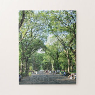 Quebra-cabeça Central Park: A Marcha do Poeta no Verão