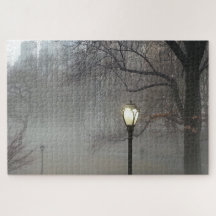 Central Park Lamppost em Winter Fog