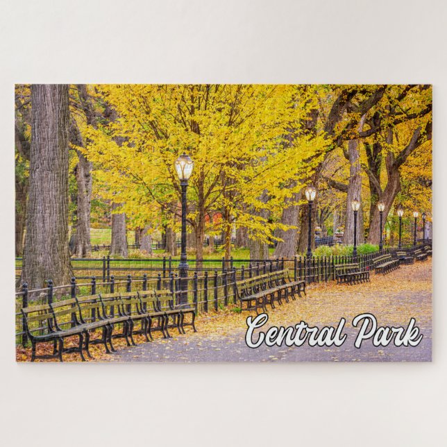 Quebra-cabeça Central Park, Manhattan, Nova Iorque, EUA (Horizontal)