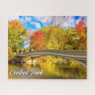 Quebra-cabeça Central Park, Manhattan, Nova Iorque, EUA