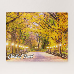 Quebra-cabeça Central Park, Manhattan, Nova Iorque, EUA