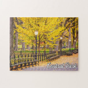 Quebra-cabeça Central Park, Manhattan, Nova Iorque, EUA