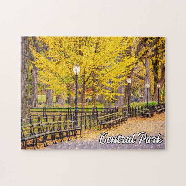 Quebra-cabeça Central Park, Manhattan, Nova Iorque, EUA (Horizontal)