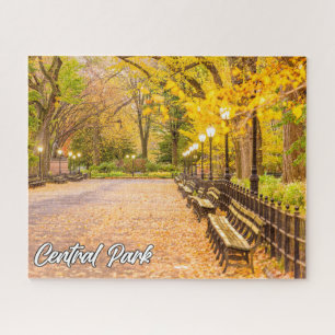 Quebra-cabeça Central Park, Manhattan, Nova Iorque, EUA