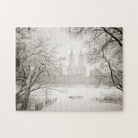 Central Park - neve bonita do inverno