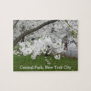 Quebra-cabeça Central Park New York Blossoming Tree em Primavera