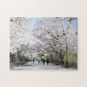 Quebra-cabeça Central Park Primavera Cherry Blossoms New York NY