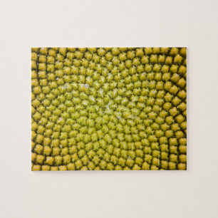 Quebra-cabeça Centro do girassol gigante (Helianthus annuus)