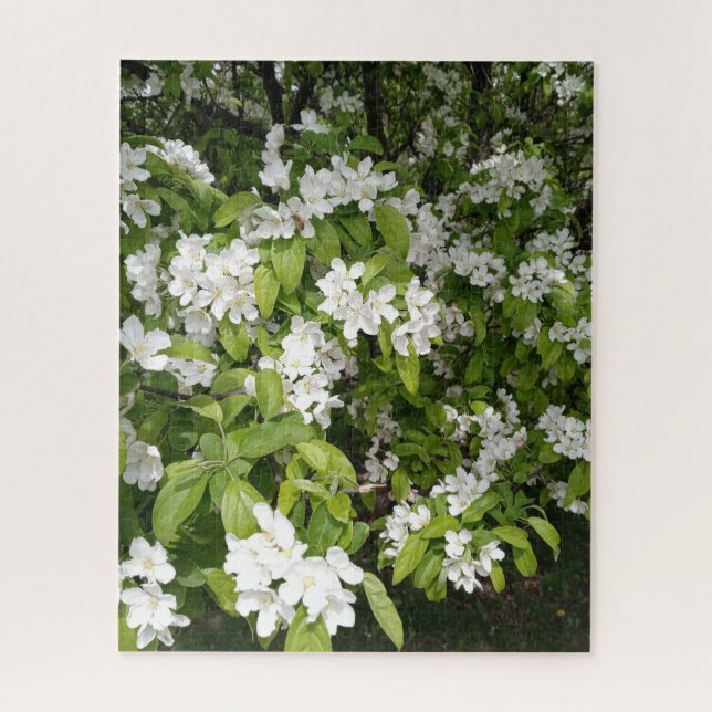 Quebra-cabeça Cerejeiras em Flor na Sombra e na Luz (Vertical)