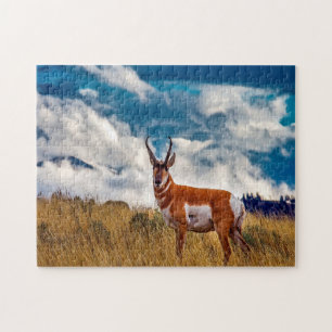 Quebra-cabeça Cervo Pronghorn Montana.
