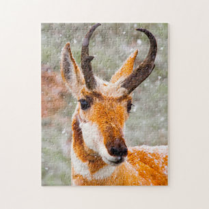 Quebra-cabeça Cervo Pronghorn Wyoming.