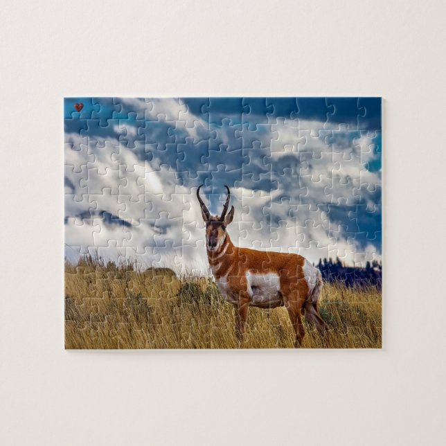Quebra-cabeça Cervo Pronghorn Wyoming (Horizontal)