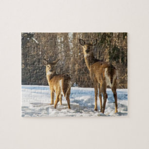 Quebra-cabeça Cervos de Whitetail na neve
