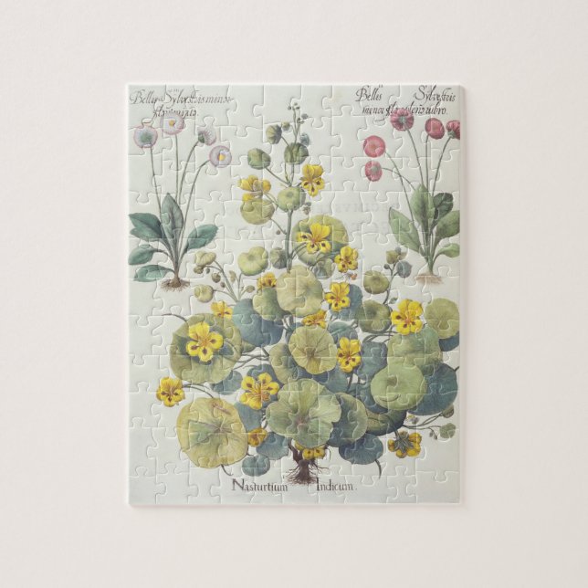 Quebra-cabeça Chagas e margaridas: 1.Nasturtium Indicum; 2.B (Vertical)