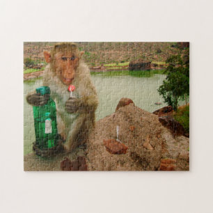 Quebra-cabeça Chamada de Foto-Macaco Badami Índia