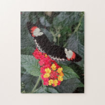 Quebra-cabeça chave da borboleta do piano