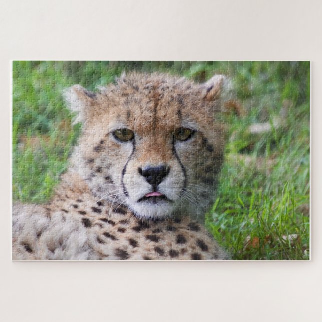 Quebra-cabeça Cheetah (Horizontal)