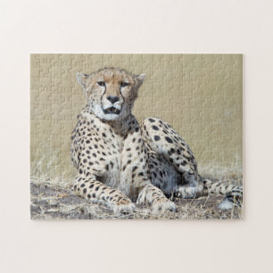 Quebra-cabeça Cheetah na foto de Masai Mara no Quênia