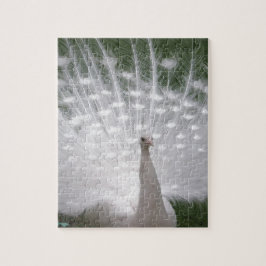 Quebra-cabeça Cheio de Pavão branco (Peafowl)