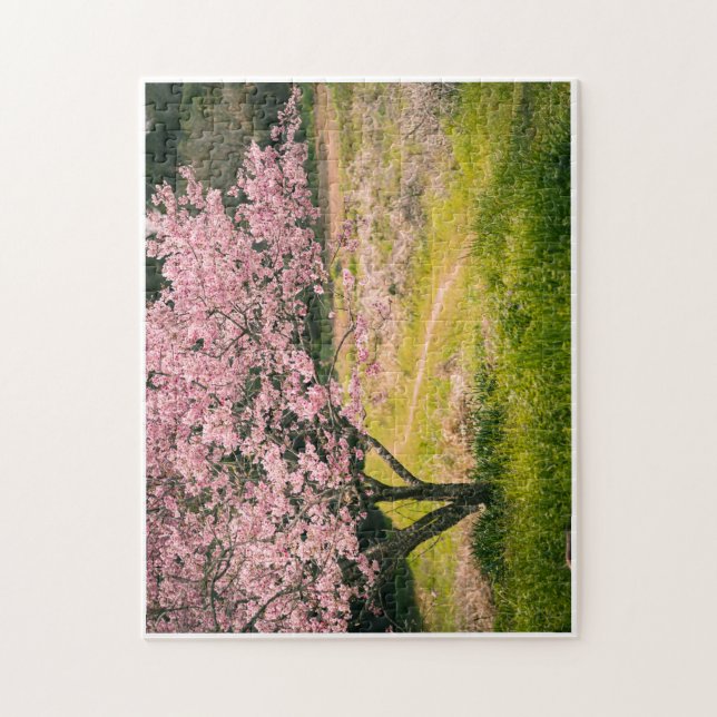 Quebra-cabeça Cherry blossoms blooming in the rural hill (Vertical)