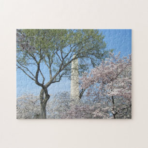 Quebra-cabeça Cherry Blossoms e o Monumento de Washington em DC