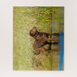 Quebra-cabeça Chesapeake Bay Retriever Caça Cachorro Quebra-cabe