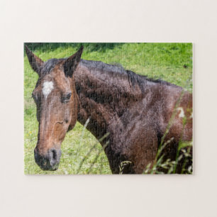 Quebra-cabeça Chestnut Horse Closeup