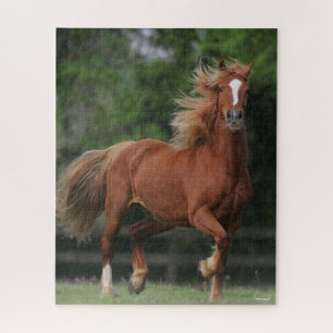 Quebra-cabeça Chestnut Welsh Pony Mane and Tail Fluir