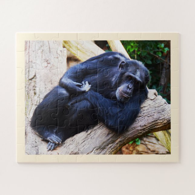 Quebra-cabeça Chimpanzé (Horizontal)