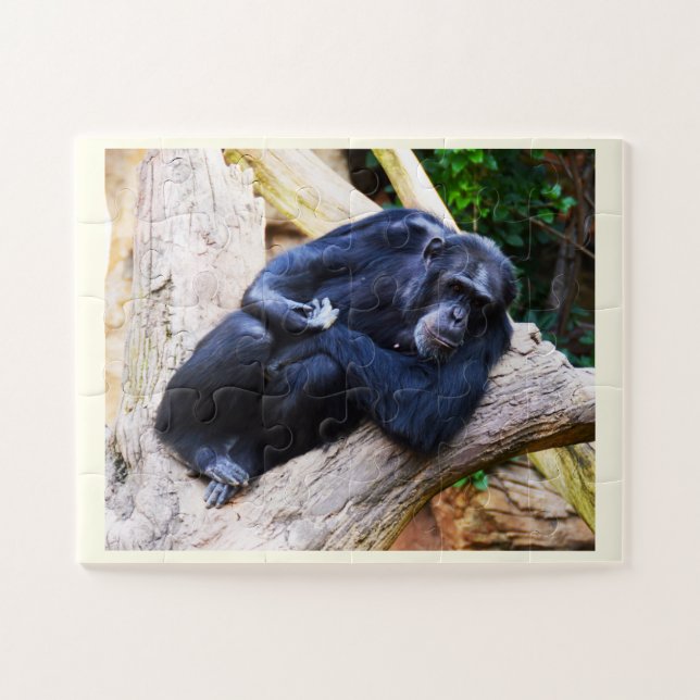 Quebra-cabeça Chimpanzé (Horizontal)