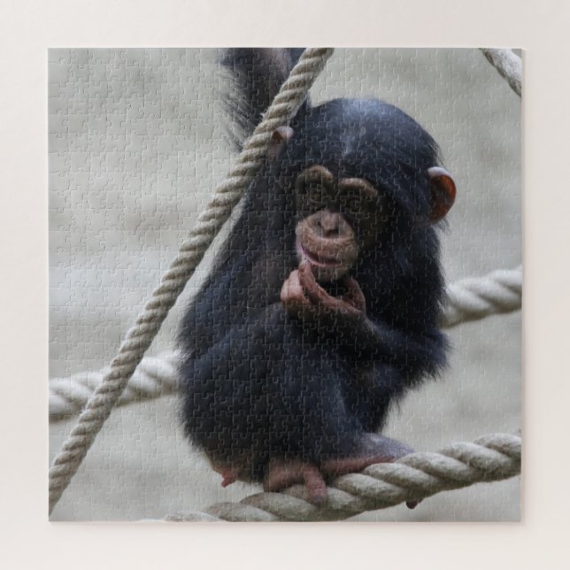 Quebra-cabeça Chimpanzé 030 (Vertical)