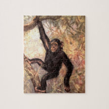 Chimpanzé Macaco por Swan CE, Animais Selvagens Vi