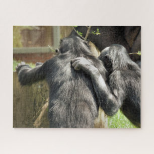 QUEBRA-CABEÇA CHIMPANZÉS