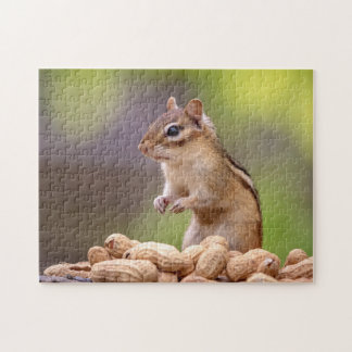 Quebra-cabeça Chipmunk com amendoins