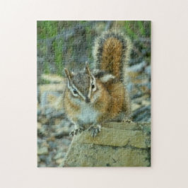 Quebra-cabeça Chipmunk no Parque Nacional Glacier