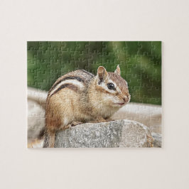 Quebra-cabeça Chipmunk numa pedra