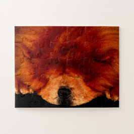 Quebra-cabeça Chow Sleeping Chow 11x14 jpcna 30pc