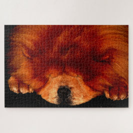 Quebra-cabeça Chow Sleeping Chow 20x30 1014pc jpa