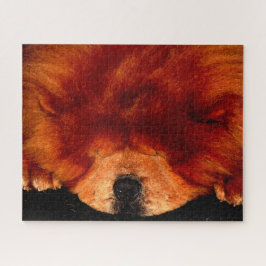 Quebra-cabeça Chow Sleeping Chow jpcnm 16x20 520pc