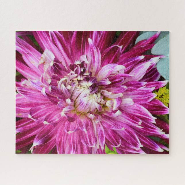 Quebra-cabeça Chrysanthemum Roxo - Flor 16x20 (Horizontal)
