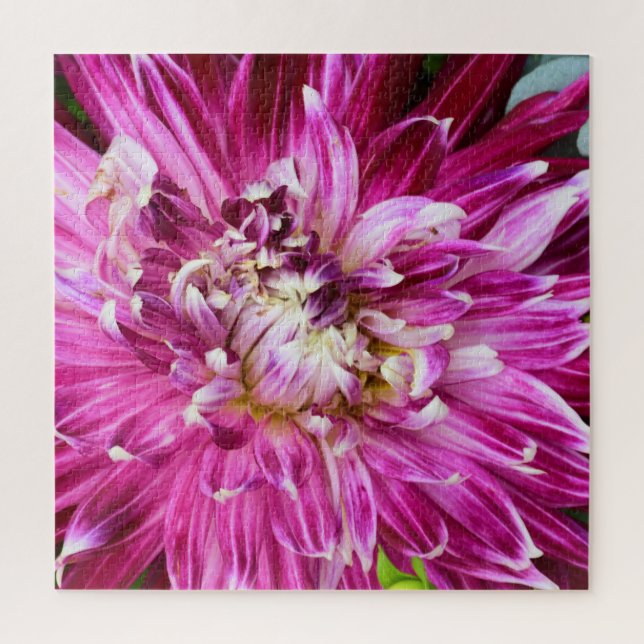 Quebra-cabeça Chrysanthemum Roxo - Flor 20x20 (Vertical)