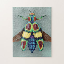 Quebra-cabeça Chrysocroa fulgens Pintura do escaravelho