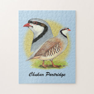Quebra-cabeça Chukar Partridge Combo
