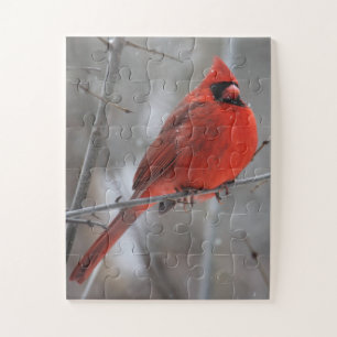 Quebra-cabeça Chunky Bright Red Male Cardinal in Winter Snow