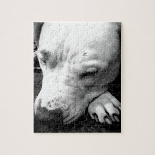 Quebra-cabeça cicatriz do harry potter cachorro pit bull branco