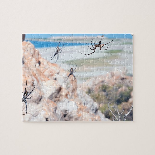 Quebra-cabeça Cidade das Aranhas - Por Perto (Horizontal)