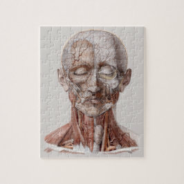 Quebra-cabeça Ciência da Anatomia Humana Vintage, Nariz Da Garga