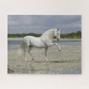 Quebra-cabeça Cinza Andaluciano Stallion Em Lago