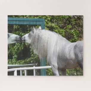 Quebra-cabeça Cinza Andaluciano Stallion Olhando Espelho